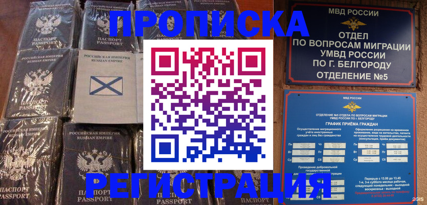 прописка гарантия в Петропавловске-Камчатском